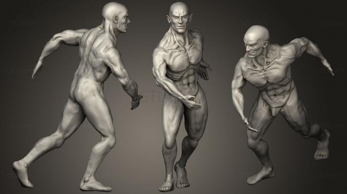 3D model Male body study (STL)